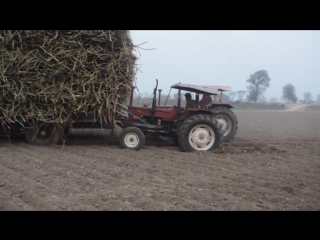 indian tractor drivers