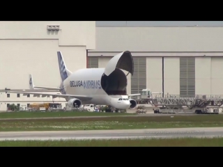 cargo aircraft - airbus beluga