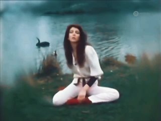 kate bush - the efteling special (1978)